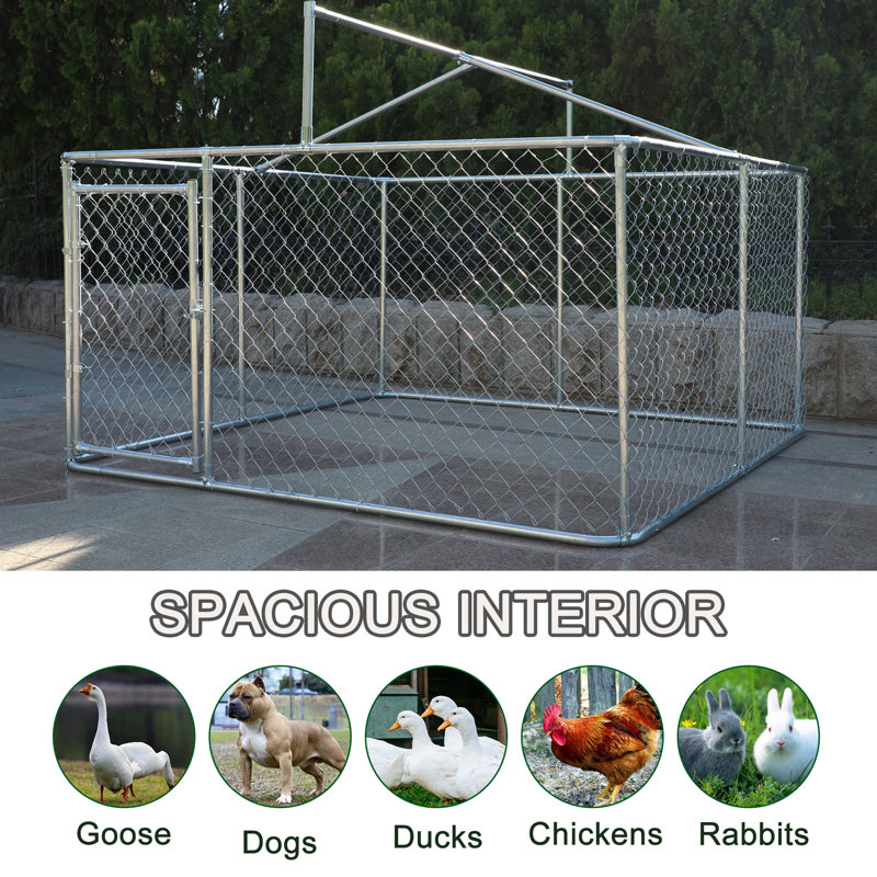 Indoor chain link dog kennel best sale